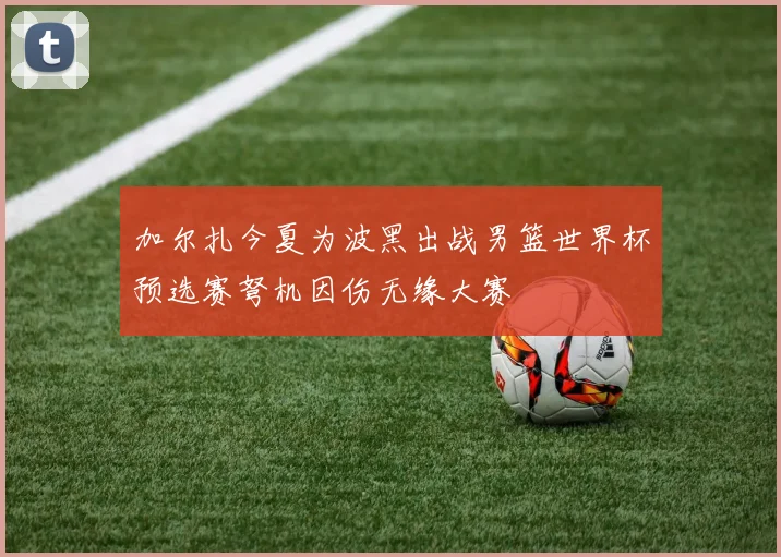 加尔扎今夏为波黑出战男篮世界杯预选赛弩机因伤无缘大赛