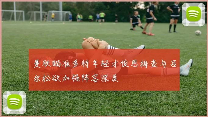 曼联瞄准多特年轻才俊恩梅查与吕尔松欲加强阵容深度
