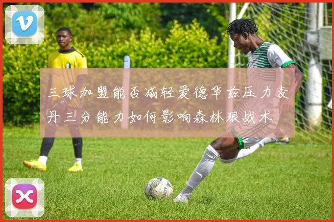 三球加盟能否减轻爱德华兹压力麦丹三分能力如何影响森林狼战术